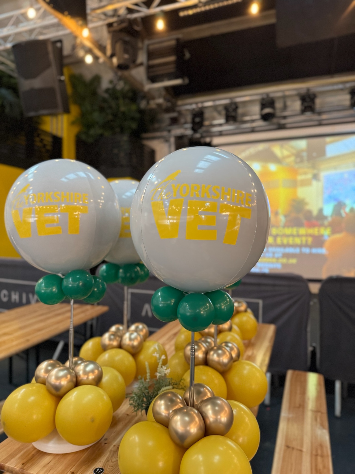 Balloon Decorations — Decor that earns its own selfie queue.